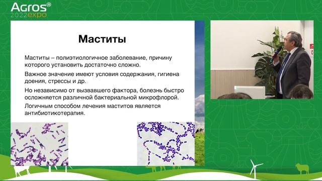 Антибиотикорезистентность – нарастающая проблема при выращивании сельскохозяйственных животных смотреть онлайн
