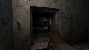 Обзор Clear Sky Gunslinger – лучшей модификации на Stalker Чистое Небо