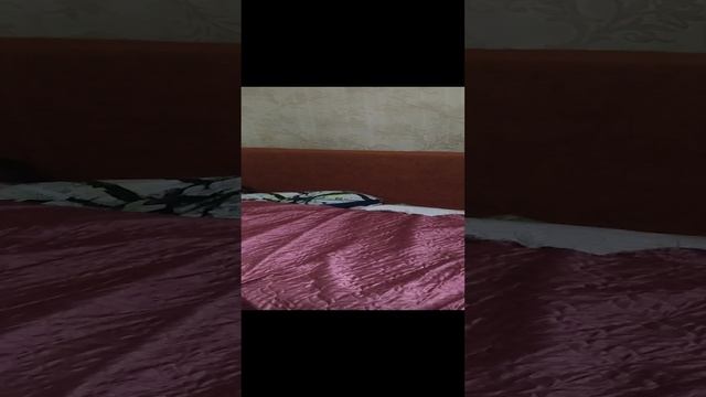 я раздвинул наш диван и прыгаю в дырку дивана смотреть онлайн