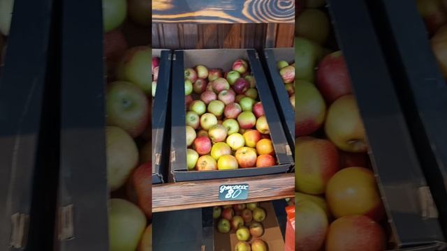 Цена на яблоки в Крыму 🍎🍏🍎#сад #яблочки #крым смотреть онлайн