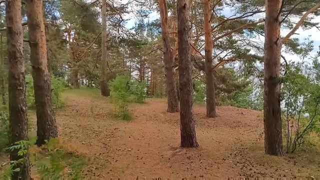 Талабские острова - "взрыв мозга" и наше открытие года (10-11 июня 2024г.) смотреть онлайн