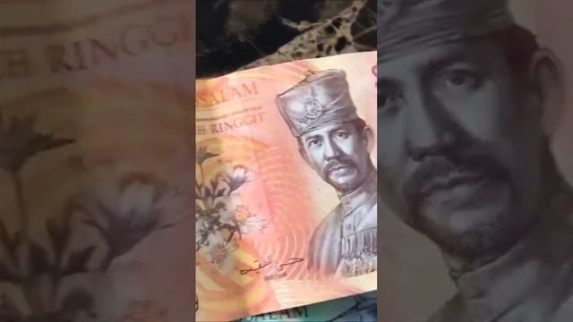 Бруней один рингит это 0,7 доллара сша #путешествия #деньги #бруней #путешествие смотреть онлайн