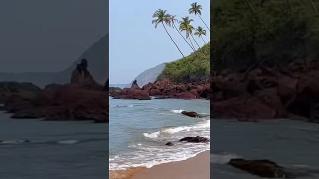 Кола бич Индия #путешествия #travel #индия #пляж смотреть онлайн