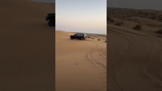 Desert Drive смотреть онлайн