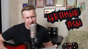 Сергей Тимошенко - Цепные псы (стрим 03.11.2024 Boosty)