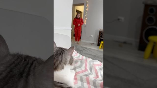 Stepped in urine #shorts #humor #joke #shock #lerochka смотреть онлайн