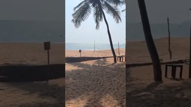 Красиво и никого нет пляж Кола #путешествия #travel #индия #пляж смотреть онлайн