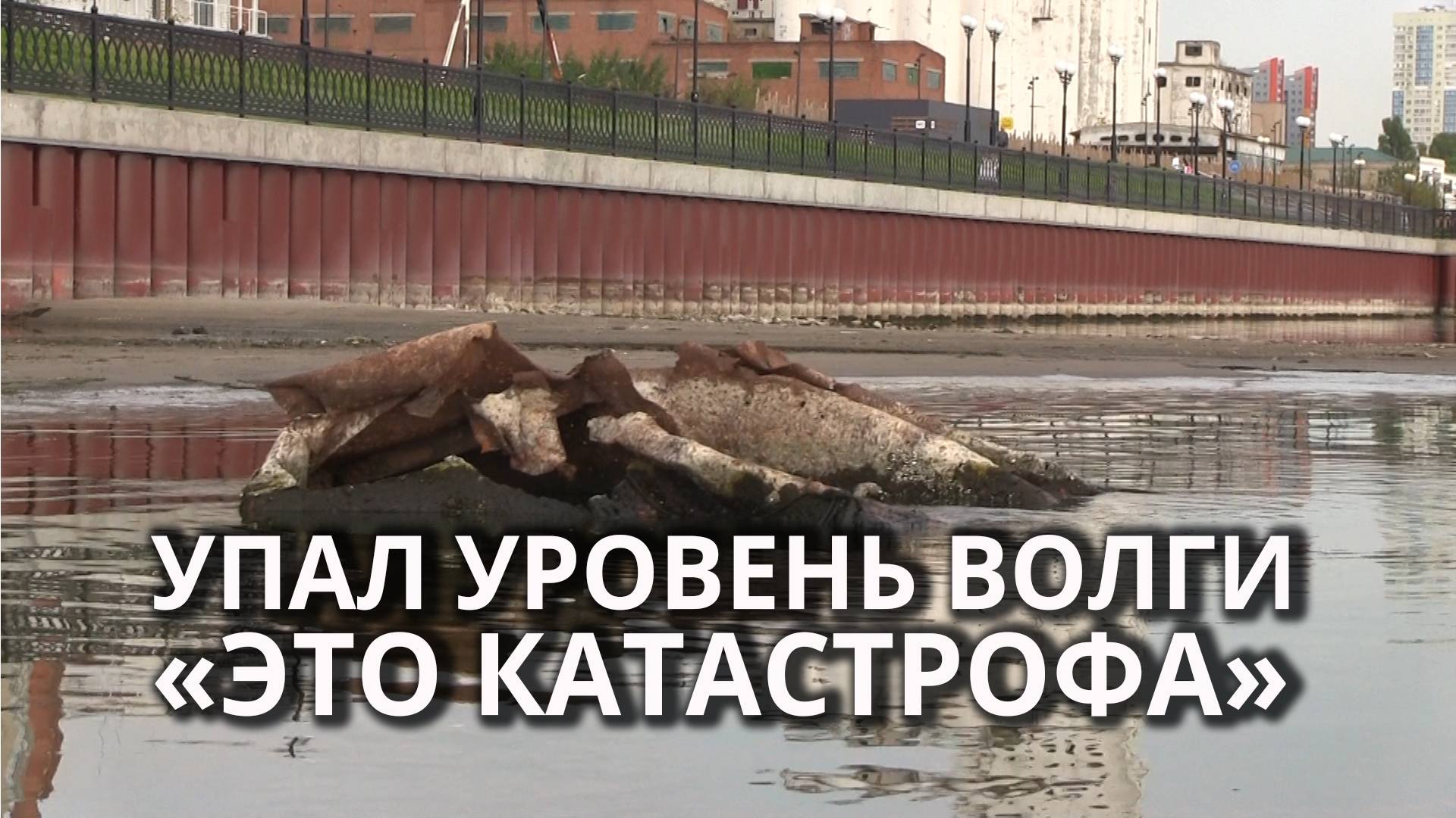 В Саратове обмелела Волга смотреть онлайн