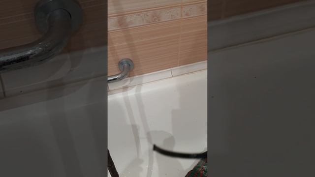 Штамбовая роза из питомника Кордес от покупки до посадки. Часть пятая. смотреть онлайн