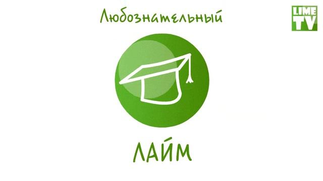 Киски на Lime TV смотреть онлайн