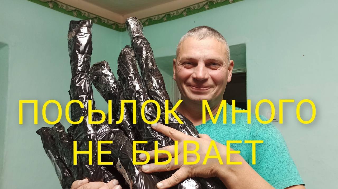 Посылок много не бывает. Не до еды однако... Наш второй хлеб. А камера то включена. смотреть онлайн