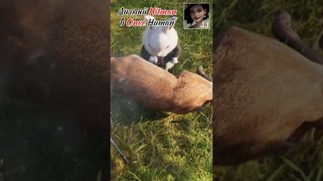 Личный Hitman в Once Human #oncehuman #onlinegames #shootergame #guide #tips смотреть онлайн