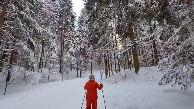 Жить на пенсии нужно так, чтобы не песок, а пар или КОТоБудни от 08.02.2024г. | Life in Russia смотреть онлайн
