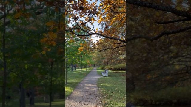 Осенний Петербург🍂 #shorts смотреть онлайн