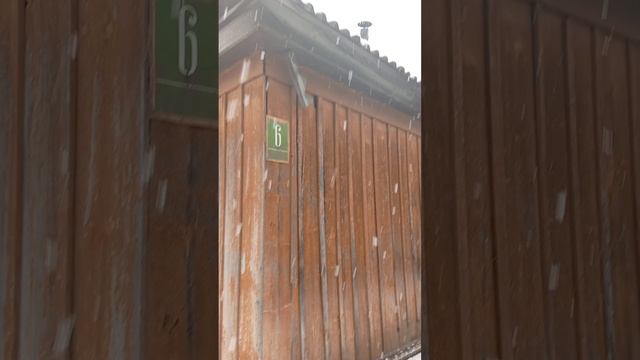 ПЕРВЫЙ СНЕГ