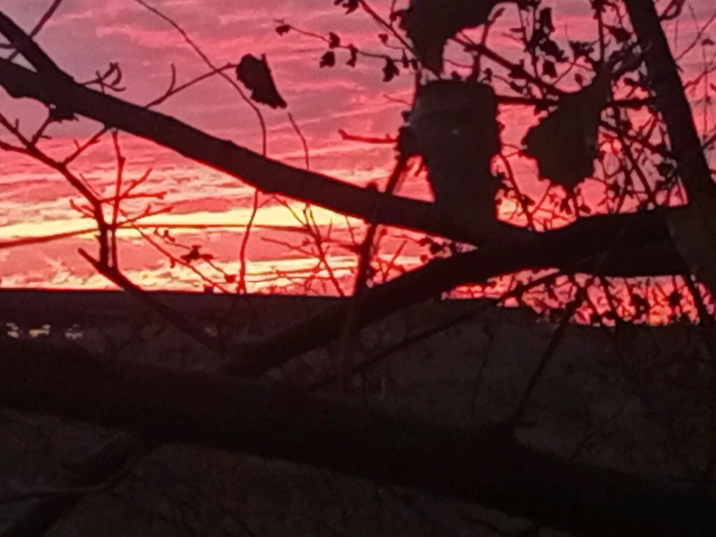 играю в и гры😚✌ смотреть онлайн