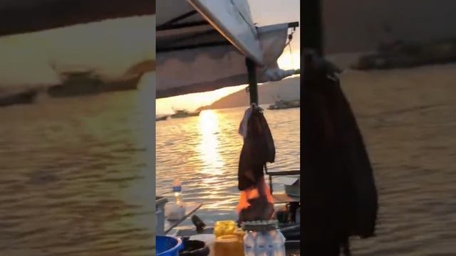 Закат в Кота-Кинабалу #путешествия #travel #закат #борнео #остров смотреть онлайн