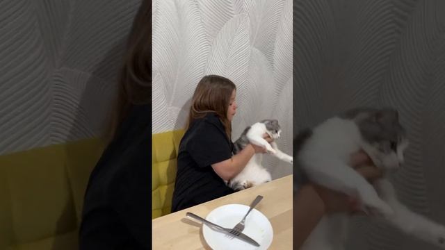 She really loves to eat #shorts #joke #humor #tiktok смотреть онлайн