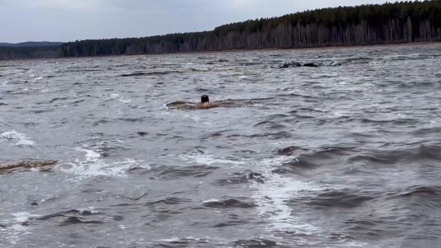 Купаемся в ноябре на Урале  #моржевание #закаливание #гранатоваябухта #сысерть