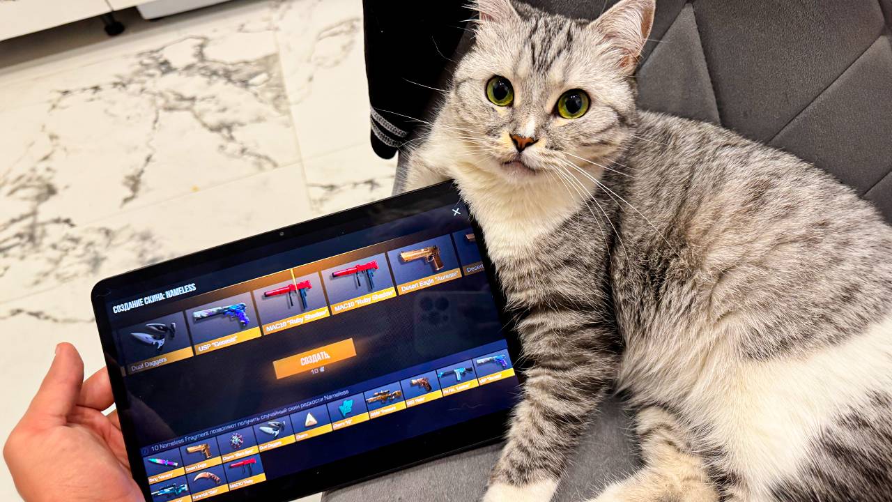 ВАУ!!! КОШКА ОТКРЫЛА КЕЙС И ВЫБИЛА... смотреть онлайн