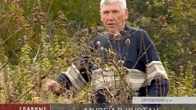 ERMOLOV смотреть онлайн