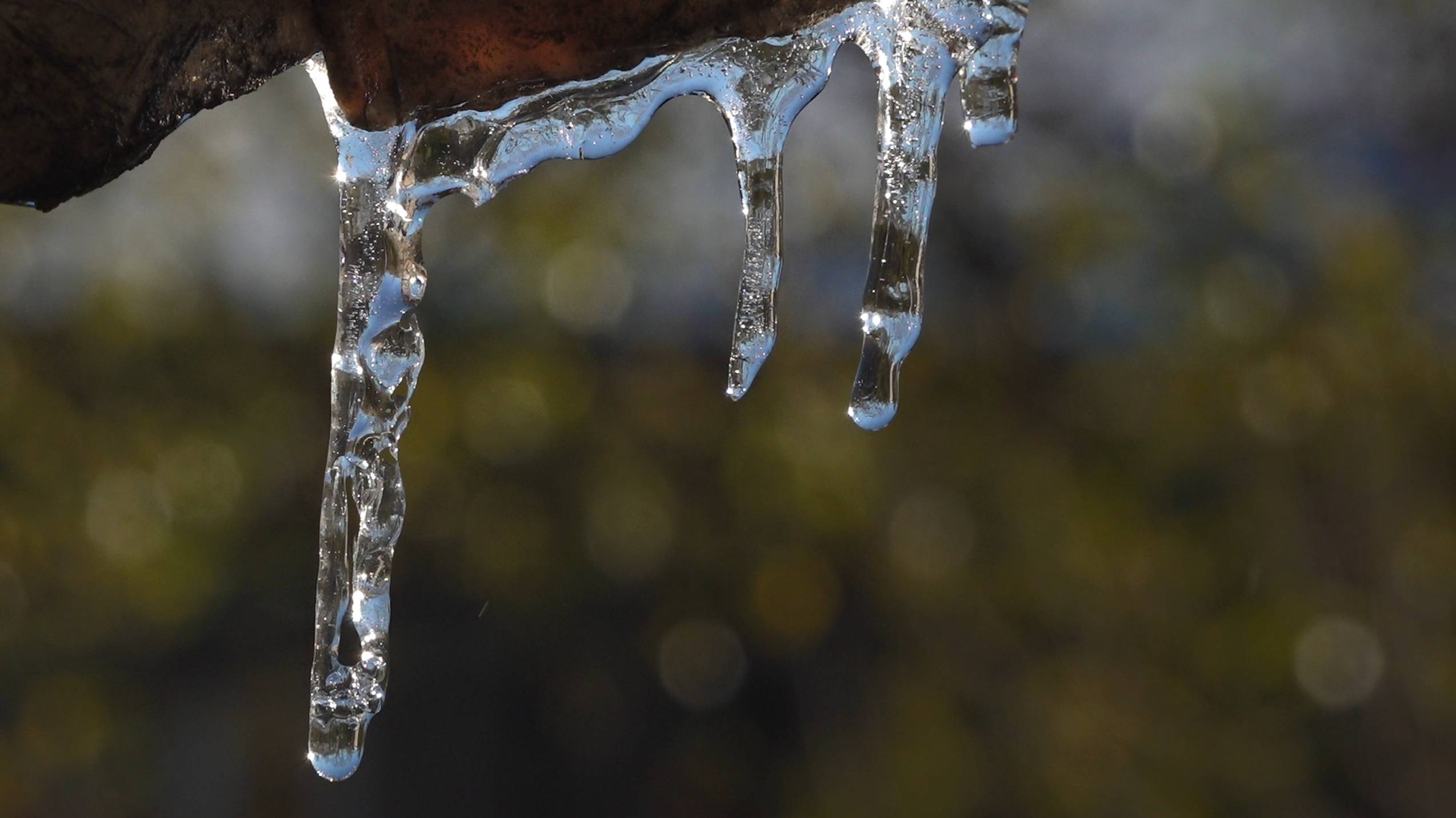 Первый морозный день 24-го года в Донецке.
Только капель, солнце и Вивальди. И ничего более.... смотреть онлайн