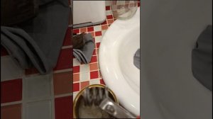 Соляная кислота 14% и ее действия,урок 2