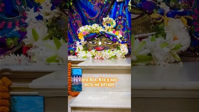 КАРТИКА В МАЯПУРЕ 🙏🏻🪔 смотреть онлайн