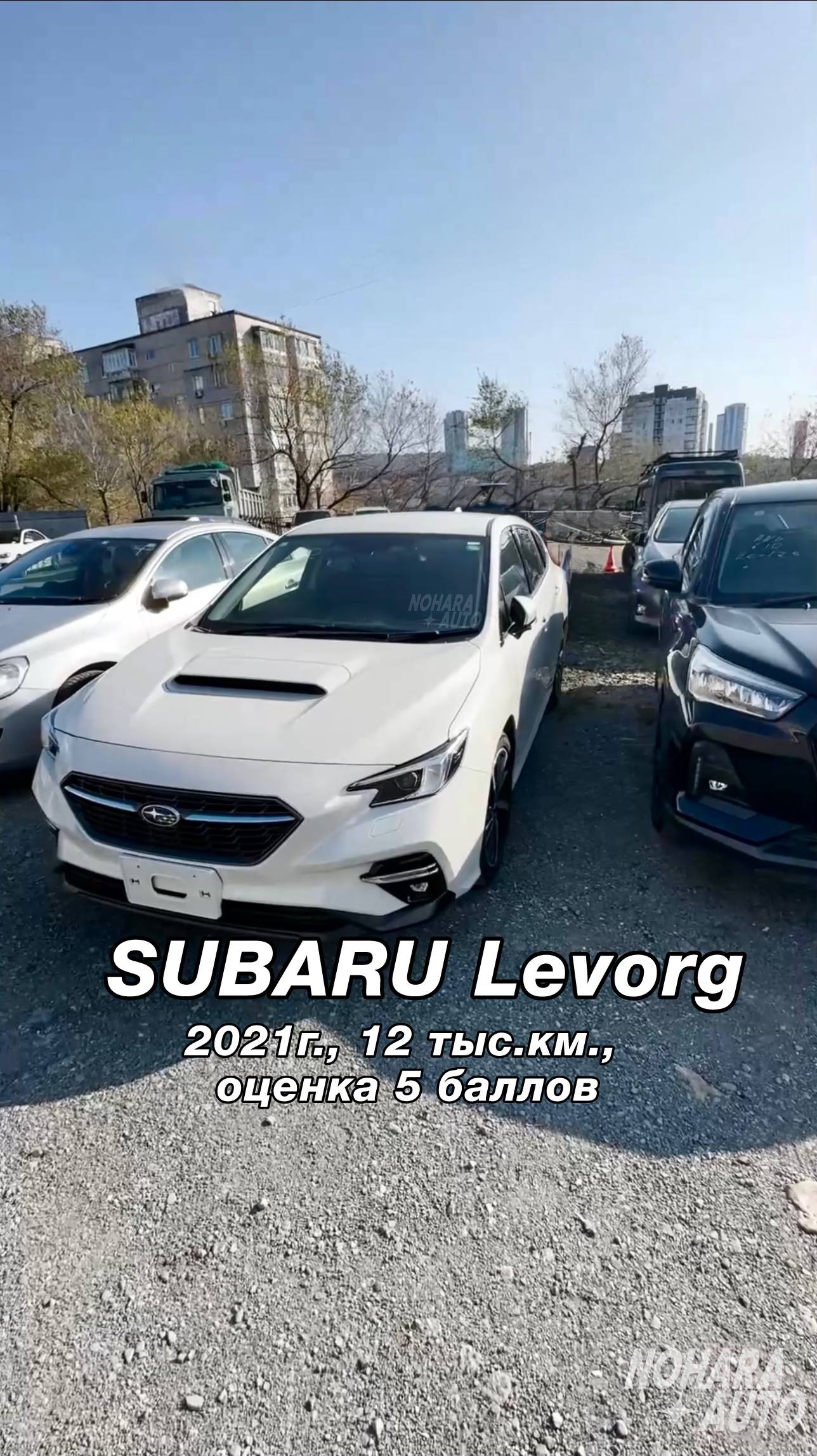 Привезли пятибалльный Subaru Levorg VN5 для нашего заказчика: смотреть онлайн