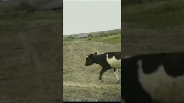 Молебка 1996 год #путешествия #молебка #travel #история #пришельцы #документальныйфильм смотреть онлайн