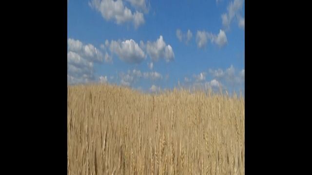 КРЕАТОВО - Отель, группа Хрипань, 2009 год