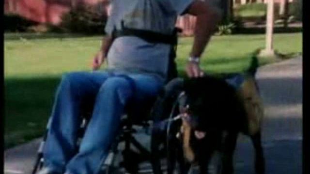 2B - Man's best friend смотреть онлайн