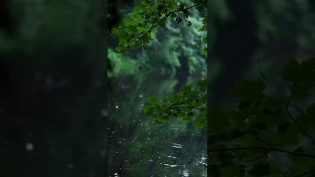 Идеальный Мир