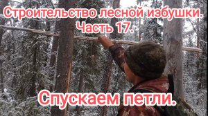 Строительство лесной избушки. Часть 17. Спускаем петли.