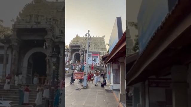 Деньги Вишну #путешествия #travel #индия #вишну смотреть онлайн