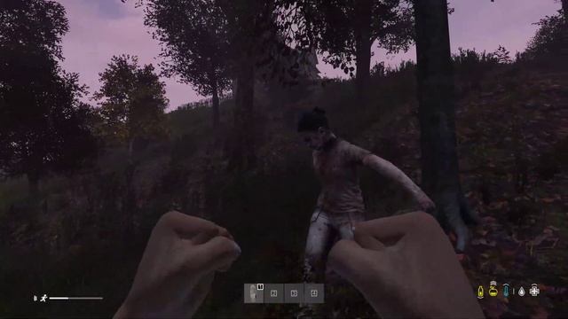 DayZ Дорога до военной базы часть 1