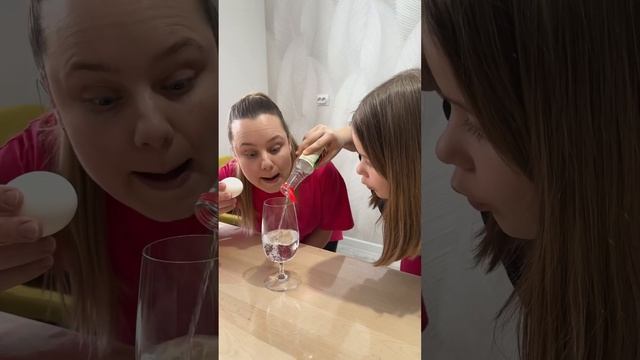 They Lost The Last Egg Due To a failed experiment #shorts #family смотреть онлайн