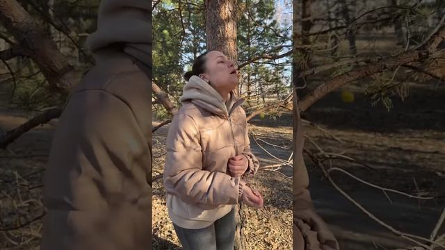 He got her #shorts #humor #joke #family #funny #tiktok смотреть онлайн