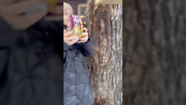 Lera helps the birds ⬛ #shorts #helper #lerochka смотреть онлайн