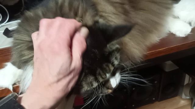 Фаина и Сын.mp4 смотреть онлайн