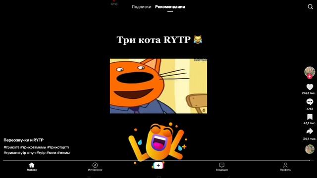 смотрим три кота в тик-токе