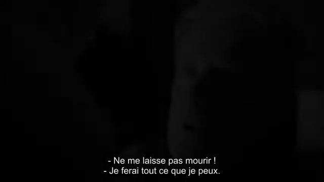 Les Van Gogh (Ван Гоги) - BA VOstF смотреть онлайн