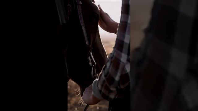 Моя лошадка. Дмитрий Шлапак смотреть онлайн