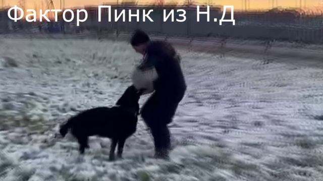 ПИНК ИЗ НЕВСКОГО ДЕСАНТА ПРК. 03.11.2024 смотреть онлайн