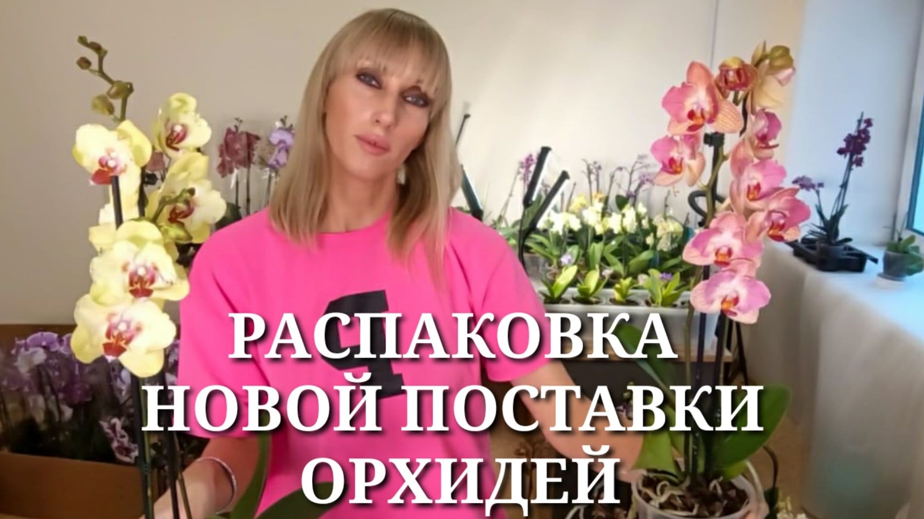 ПРООРХИДЕИ / РАСПАКОВКА / Марракеш, Калейдоскоп, Sand River, Cherry Bomb, бабочки, пелорики смотреть онлайн