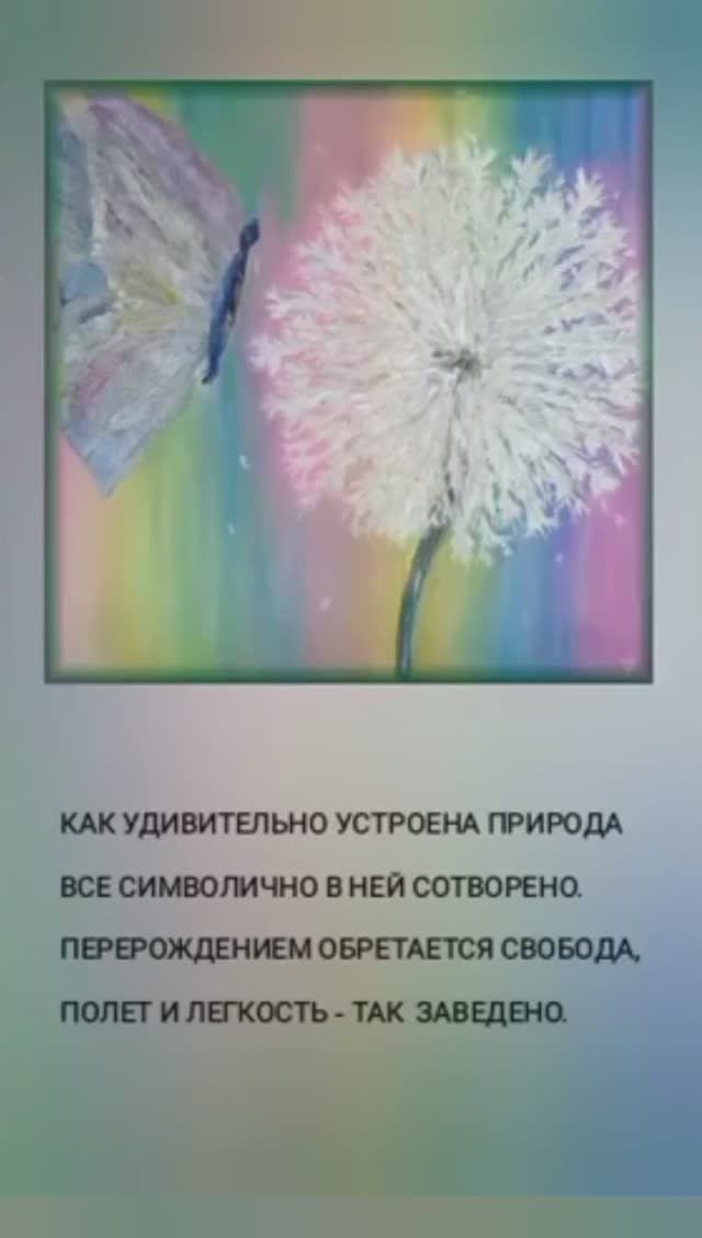 Одуванчик и бабочка смотреть онлайн