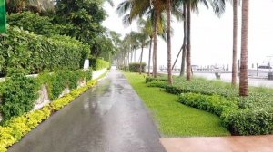 Walking in Very Heavy Rain - Palm Beach,  Florida - 4K ASMR
