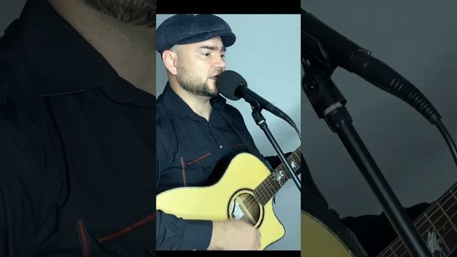 Снегири(трофим)-кавер под гитару смотреть онлайн