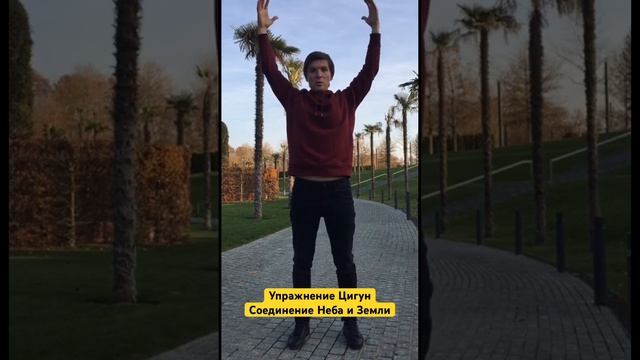 #цигун #цигунонлайн #цигундляначинающих #цигундома #цигунтур смотреть онлайн