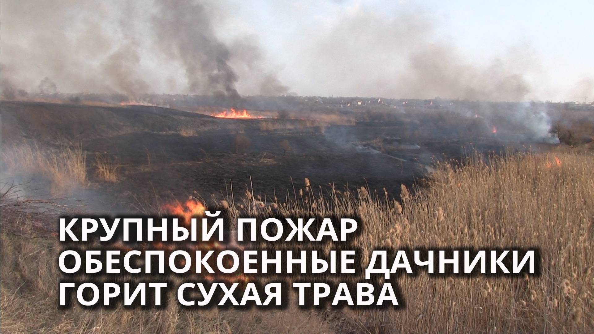 В Саратове начался сезон природных пожаров смотреть онлайн